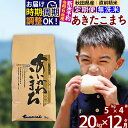 【ふるさと納税】※令和6年産 新米予約※《定期便12ヶ月》秋田県産 あきたこまち 20kg【無洗米】(5kg小分け袋) 2024年産 お届け周期調整可能 隔月に調整OK お米 藤岡農産