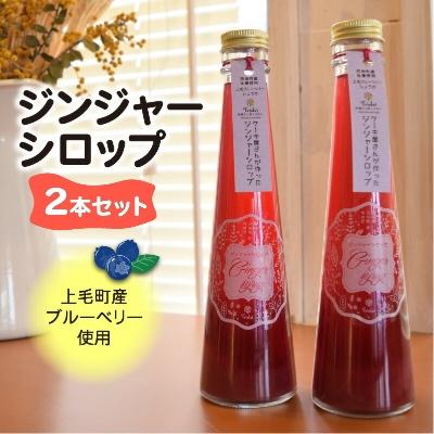 ふるさと納税 上毛町 【上毛町産ブルーベリー使用】ジンジャーシロップ　2本セット