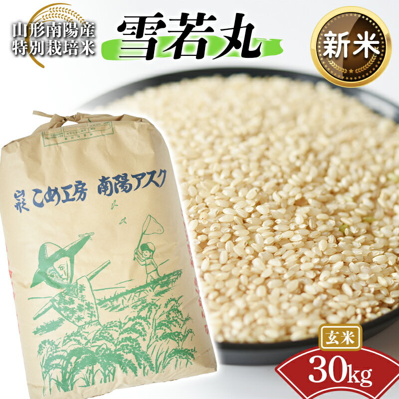 【ふるさと納税】 令和8年産 新米 先行予約 【金賞受賞農家】 特別栽培米 雪若丸 (玄米) 30kg 令和8年9月下旬〜発送 『あおきライスファーム』 山形南陽産 米 ご飯 山形県 南陽市 [2601-R8A]
