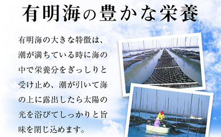 福岡有明のり 味海苔 大丸ボトル 10切80枚　6本セット あじのり 取り寄せ ごはんのおとも 九州 ご当地グルメ 福岡土産
