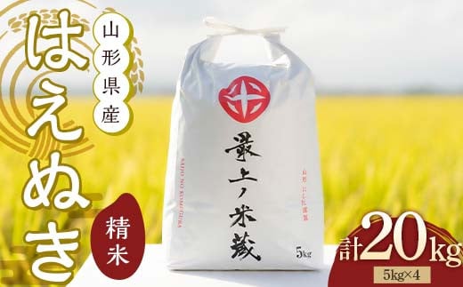 令和7年産 先行予約 はえぬき 5kg×4 計20kg 精米 【最上ノ米蔵】 山形県産 こめ お米 米 白米 F3S-2485