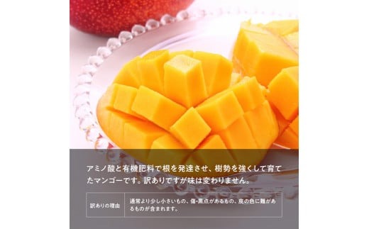 【令和8年発送】【訳あり】宮崎県産完熟マンゴー（ご自宅用）　完熟マンゴー3玉 【 果物 フルーツ マンゴー 宮崎県産 みやざきマンゴー 訳あり 先行予約 数量限定 期間限定 】[C03709]
