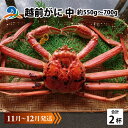 【ふるさと納税】【先行予約】越前がに 中 (約550g～700g)×2杯【11月～12月発送】 / 雄 ズワイガニ ずわいがに ズワイ蟹 越前ガニ ボイル 冷蔵 ご自宅用 カニ しゃぶしゃぶ 海鮮 カニすき カニ鍋 カニしゃぶ かに 国産 南越前町 送料無料