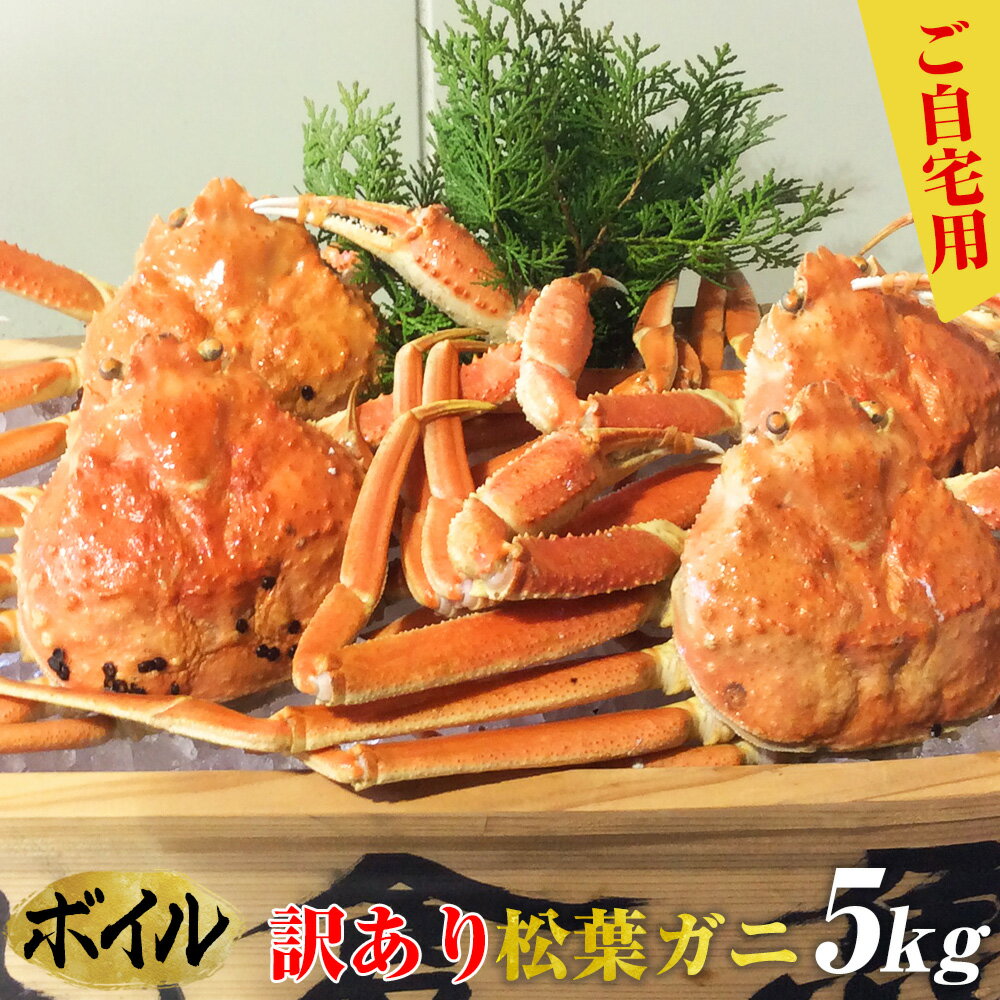 【ふるさと納税】.ご自宅用 訳ありボイル松葉ガニ 大満足のお任せ5kgセット【着日指定不可】※2025年11月上旬～2026年3月下旬頃に順次発送予定 | 蟹 かに 松葉ガニ ボイル 松葉蟹 カニみそ 味噌 国産 訳あり 家庭用 鳥取県産 北栄町 おすすめ 人気