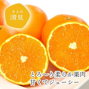 ミヤモトオレンジガーデンの「清見5kg」【D25-126】【1268370】