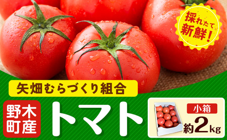 トマト 約2kg 小箱 栃木県 野木町産 矢畑むらづくり組合 《10月上旬-6月下旬頃出荷》栃木県 野木町 トマト 野菜 新鮮