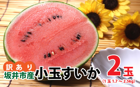 【先行予約】【訳あり】小玉すいか 2玉 坂井市産【2026年7月以降順次発送予定】 [A-3222]