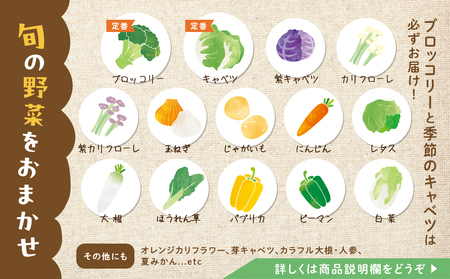 《先行予約》彩り野菜セット 3種 3回お届け 定期便 定期便