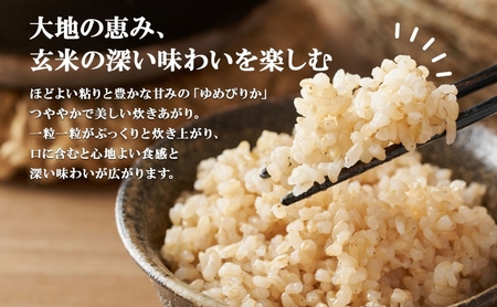 定期便 10ヵ月連続10回 北海道産 ゆめぴりか玄米 3kg×2袋 計6kg 小分け 米 特A 国産 ごはん グルメ 食物繊維 ヘルシー お取り寄せ 備蓄 長期保存 プレゼント 贈答 ギフト ようてい