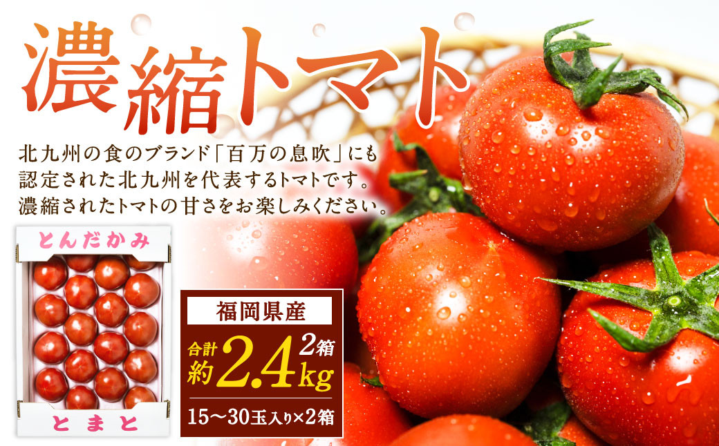 
            福岡県北九州市若松区産 若松濃縮トマト 約2.4kg 【1.2kg箱（15玉～30玉入り）×2箱】【2026年3月上旬～6月下旬発送予定】トマト とまと 野菜 国産 北九州市産
          