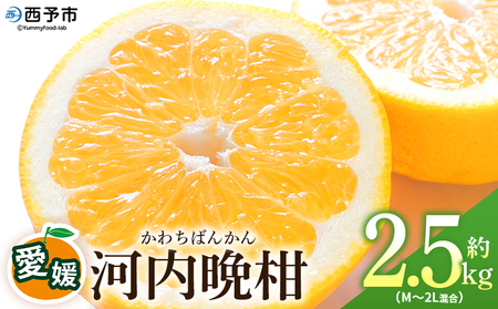 ＜愛媛県産 河内晩柑 約2.5kg（M～2L）＞ 柑橘 みかん フルーツ 和製グレープフルーツ ジューシー 初夏 旬 サイズ混合 西宇和 国産 さっぱり 甘い 農園オレンジとムラサキ 西予市【常温】『2026年4月～7月迄に順次出荷』MOM0004