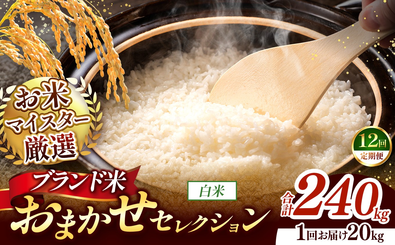 
                  【 令和7年産 】おまかせ セレクション 【定期便12回】熊本県産 白米  ＜ひのひかり / 森のくまさん / くまさんの輝き ＞ 20kg  | 単一銘柄 米 単一米 お米 こめ 小分け 人気 コメ お米 5kg 10kg 15kg 20kg 25kg 30kg 定期便 3回 6回 12回 ブランド米 菊池川流域 家庭用 送料無料 熊本 くまもと 熊本県 和水 和水町 人気 ごはん
                