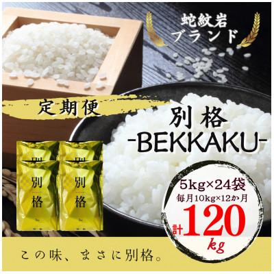 ふるさと納税 養父市 【毎月定期便】【蛇紋岩ブランド　別格米120kg】全12回