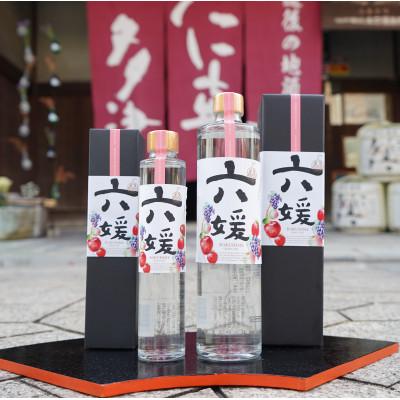ふるさと納税 伊予市 道後ジン　六媛　500ml |  | 02