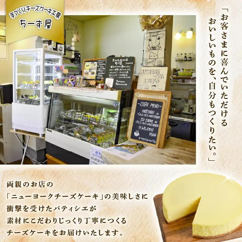 2回 定期便 ニューヨークチーズケーキ 4号 12cm ケーキ 