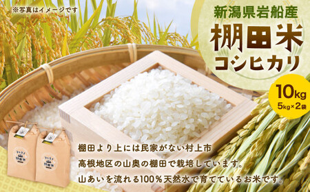 【令和7年産米】新潟県村上市 岩船産 棚田米 コシヒカリ 10kg（5kg×2）　B4035