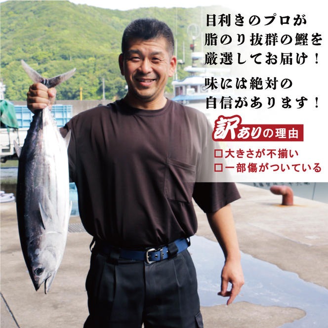 かつお かつお 真鯛 鯛 鮮魚 かつおのたたき 鰹 カツオ訳あり かつおのたたき 1kg と 愛南ゴールド 真鯛 200g お試し セット 10000円 サイズ 不揃い 規格外 カツオたたき 鰹たたき カツオ タタキ 肉 厚 養殖 タイ みかん 河内晩柑 柑橘 藻塩 刺身 刺し身 さしみ しゃぶしゃぶ 鯛しゃぶ 塩焼 少量 冷凍 旬 お手軽 海鮮 魚介 父の日 傷 小分け 真空 パック 新鮮 鮮魚 天然 鰹 四国一 一本釣 人気 ハマスイ 愛南町 愛媛県