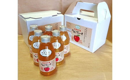 16-N りんごジュース200ml6本入り×2箱 （品種違い組み合わせ）小箱セット 相良農場