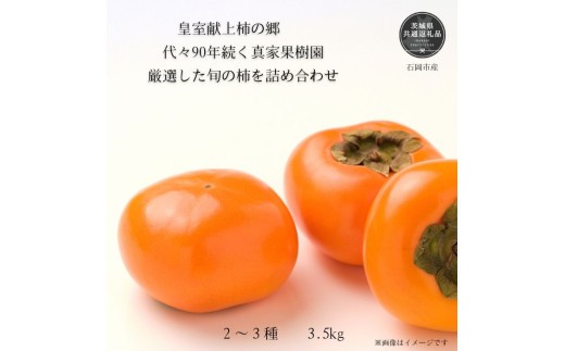 
                  皇室献上柿の郷より真家果樹園【柿】多品種詰め合わせ（14～17玉）約3.5kg　太秋・富有など（茨城県共通返礼品・石岡市産）
                