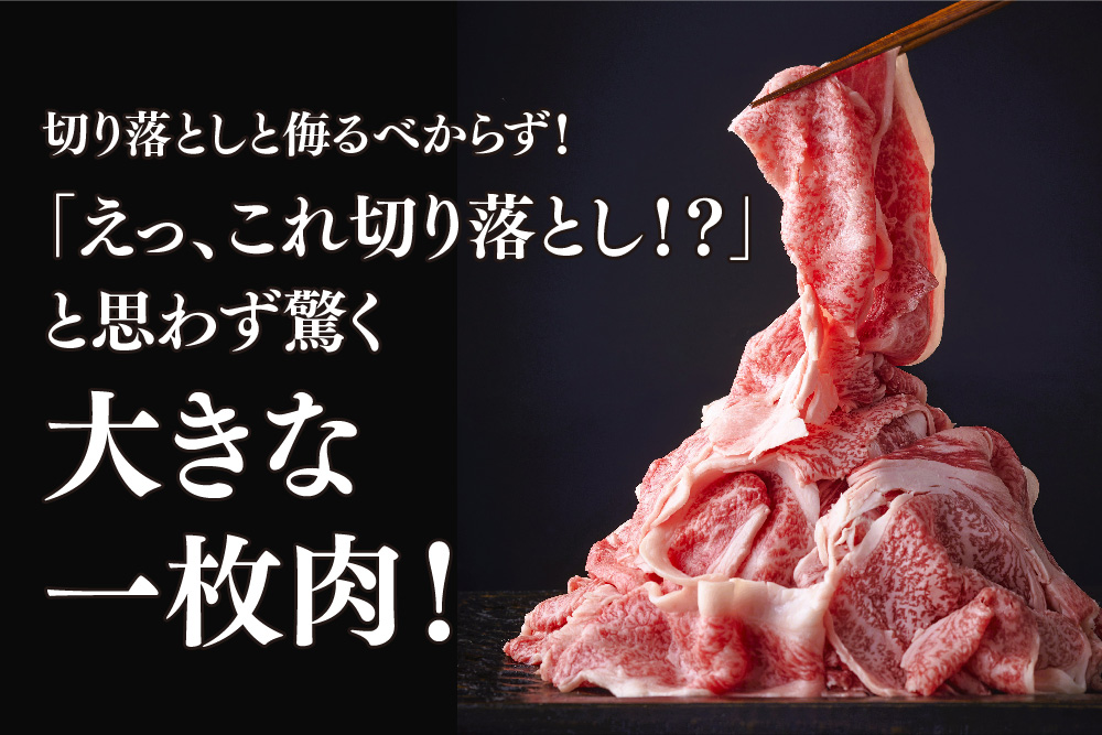 艶さし!【A4～A5】佐賀牛大判霜降り贅沢切り落とし 1kg(250g×4P)【佐賀牛 切り落とし 霜降り 肩ロース 大判 一枚肉 薄切り 250g 小分け】(H112342)