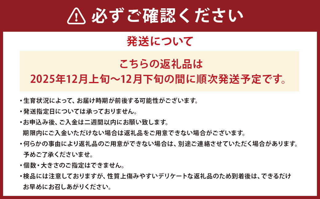 山形県産 ラ・フランス 約5kg 秀品