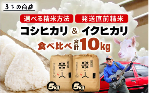 【令和6年産・新米】 コシヒカリ ＆ イクヒカリ 食べくらべ  【玄米】 計10kg （5kg × 2袋）セット[m25-b002_03]