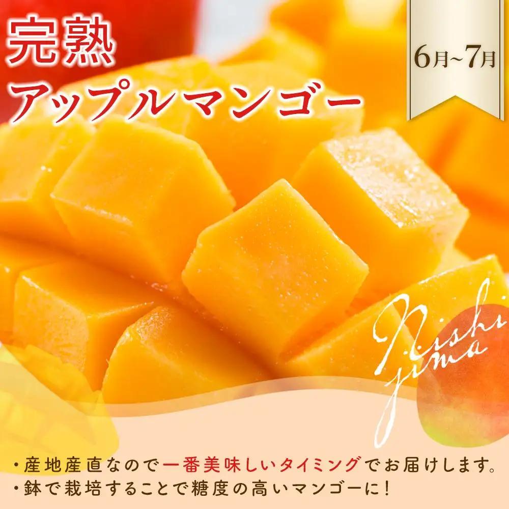 【年5回 フルーツ定期便】季節のフルーツセット【いちご スイカ マンゴー メロン】