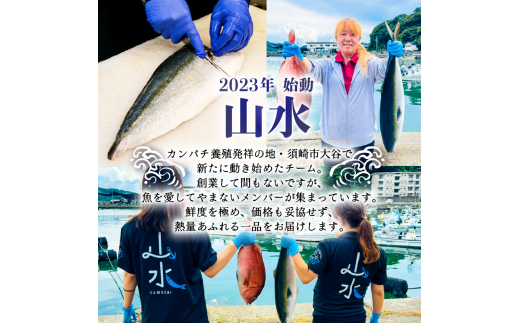  ブリ カット 150g 以上 新鮮 冷蔵 国産 鰤  ぶり セット 刺身 アレンジ 贅沢 お鍋 しゃぶしゃぶ ブリしゃぶ 海鮮丼 年末 年始 大晦日 正月 高知県 須崎市 高知 YI007