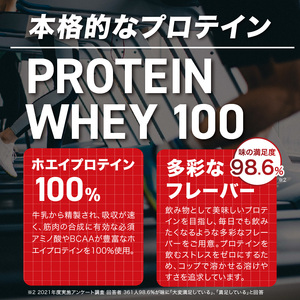 【定期便12回】DNS プロテインホエイ 100 トロピカルマンゴー 風味 2000g