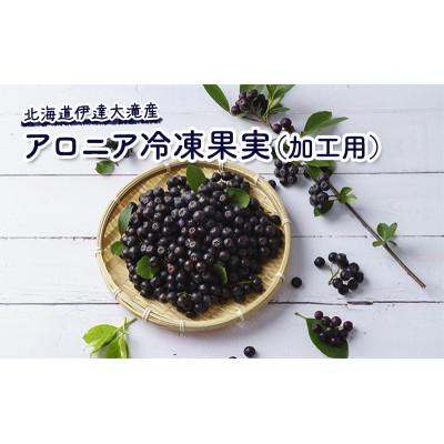 ふるさと納税 伊達市 北海道伊達大滝産アロニア冷凍果実(加工用)1kg×2袋