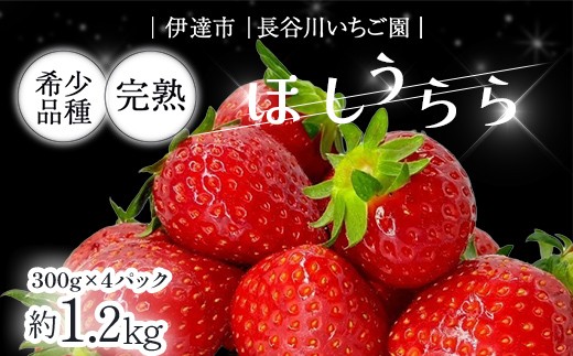 
                  完熟いちご「ほしうらら」 約1.2kg いちご イチゴ 苺 デザート フルーツ 果物 くだもの 果実 食品 F21C-299
                