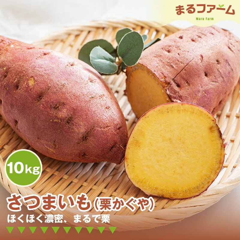 【ふるさと納税】サツマイモ（栗かぐや） 10kg ／ さつまいも 栗かぐや 国産 新品種 希少品種 甘み ホクホク 食感 黄金色 果肉 焼き芋 料理用 大容量 日常使い 送料無料 千葉県 特産 No.375