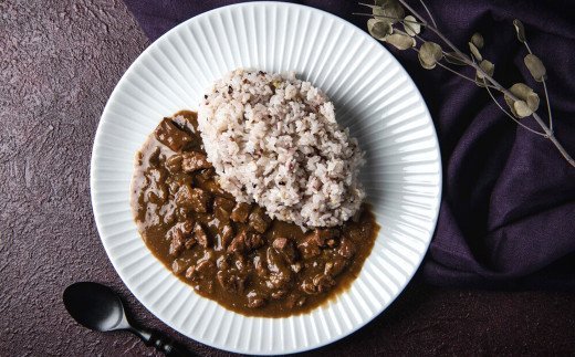 九州 ジビエ カレー セット 4食分（200g×2パック×2箱）計800g 熊本県宇城市産 猪肉 イノシシ肉