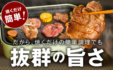 牛たん 食べ比べ 1kg 小分け 250g×4P 厚切り／スライス 焼肉用 訳あり サイズ不揃い 厚切り牛タン【氷温熟成×旨ダレ】