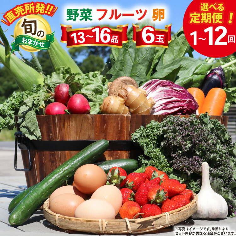 【ふるさと納税】 野菜 フルーツ 卵 旬のおまかせ セット (野菜・フルーツ13〜16品目、卵6玉) [ 野菜セット 定期便 3回 6回 12回 果物 たまご 鶏卵 産地直送 厳選 長崎県 島原市 422037021] レビューキャンペーン