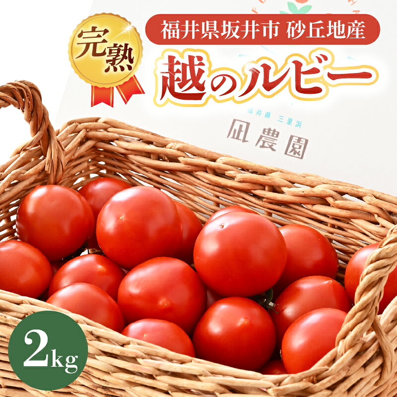 【ふるさと納税】完熟越のルビー2kg 福井県坂井市砂丘地産 農家直送 とまと トマト ミディトマト 華小町 野菜 生野菜 美容 健康 新鮮 産地直送 国産