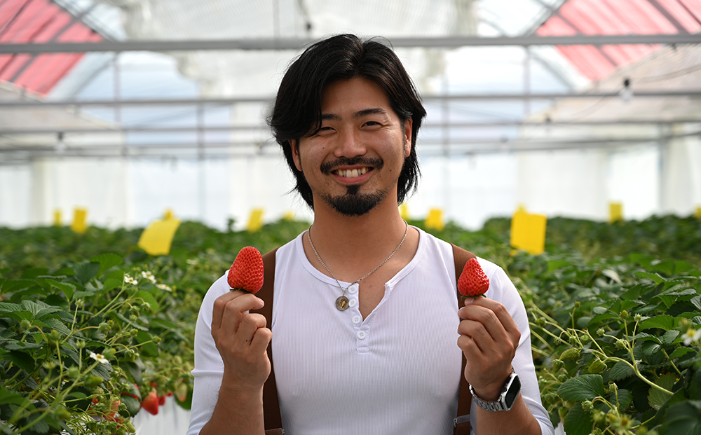 【先行予約】MIYA FARM いちご（品種：すず）12粒入り×4パック 合計 48粒 ※北海道・沖縄・離島への配送不可 ※2027年1月中旬～5月下旬頃に順次発送予定