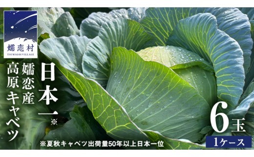 
                  【7月中旬発送開始】 嬬恋キャベツ 嬬恋産 高原 キャベツ 6玉 1ケース 旬の野菜 きゃべつ 産地直送 群馬 お取り寄せ 野菜 セット Lサイズ ZIP! 先行予約 2026年発送 [AS007tu]
                