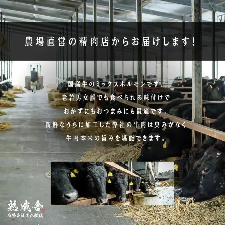 熟成牛 味付きミックスホルモン 1kg（500g×2袋） 【有限会社エム牧場】