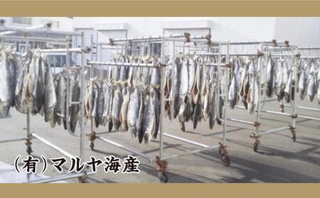【熟成】 ブランド鮭 「銀聖」 1尾(姿)