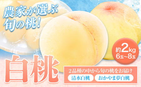 桃 おまかせ約2kg おかやま夢白 清水白桃 