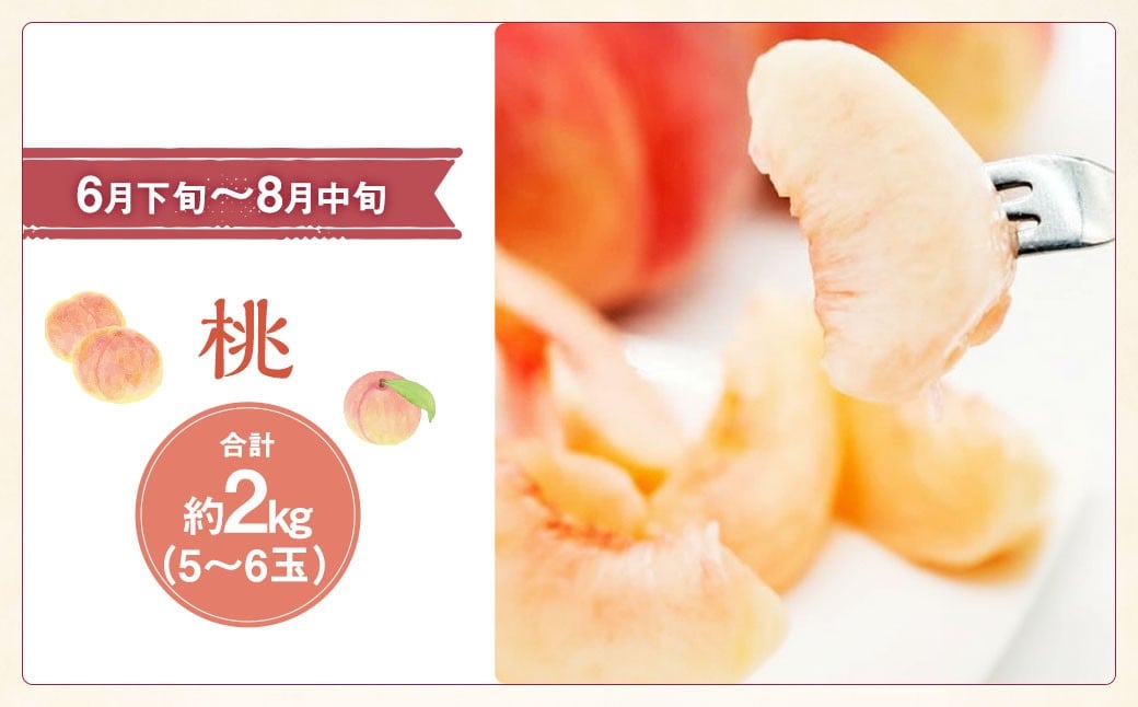 【3回 定期便 】山梨県産 フルーツ 『 桃 2kg & シャインマスカット 1.8kg & キウイフルーツ 1.5kg』