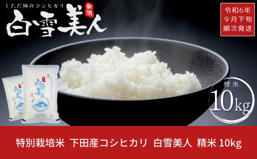 先行予約 令和6年産米 特別栽培米 下田産コシヒカリ「白雪美人」 精米 10kg（5kg×2）新潟県 こしひかり  [9月下旬順次発送]【021S029】