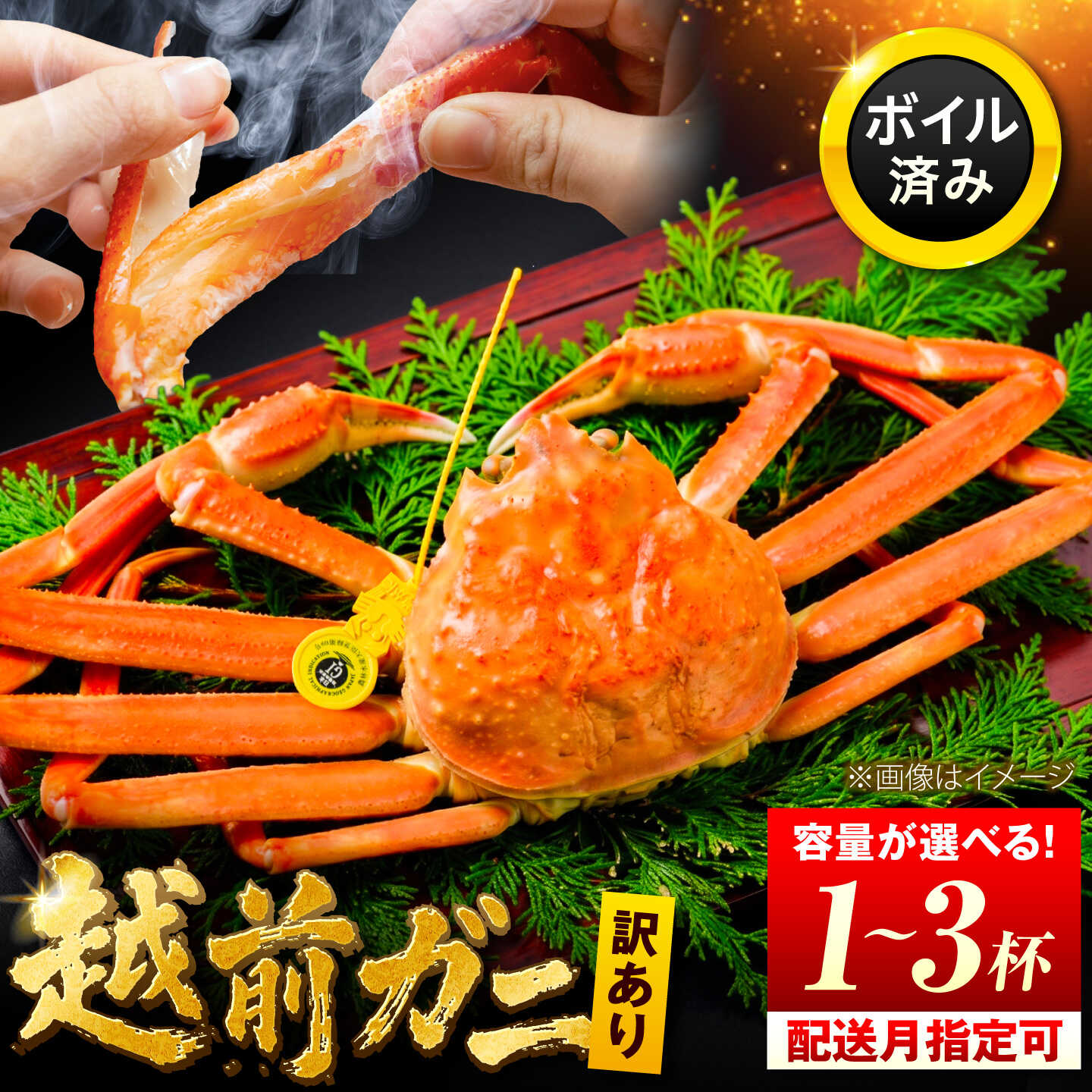 【ふるさと納税】【訳あり】【選べる配送月・容量】【先行予約/11月7日より順次配送】 脚折れあり 越前がに カニ 蟹 かに 福井県 小浜市 / まるほ商店【配送不可地域：北海道・沖縄・離島】[BFCS062-076]
