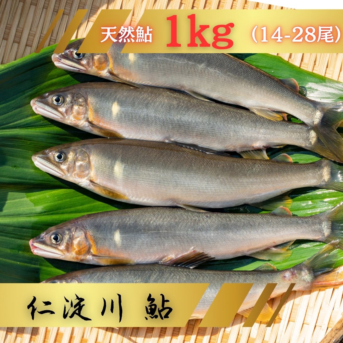 0452401【ふるさと納税】鮎 あゆ 天然鮎 仁淀川町 高知県 鮎屋仁淀川の仁淀ブルー友釣あゆ1kg（14-28尾）