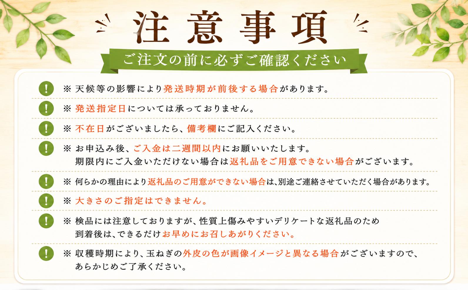 【先行予約】【訳あり】たなか農産の柳川産新玉ねぎ 約5kg