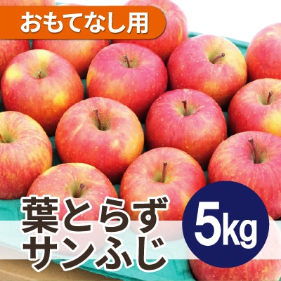 【25年12月より順次発送】平均糖度13度以上! 葉とらずサンふじ 約5kg おもてなし用【配送不可地域：沖縄県】【1611285】