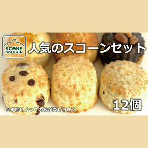 人気のスコーンアラカルト 12個【人気 しっとり 冷凍 冷凍スコーン おまかせ 本場 イギリス 焼き菓子 スイーツ 水戸市 水戸 茨城県 20000円以内 2万円以内】（AR-19）