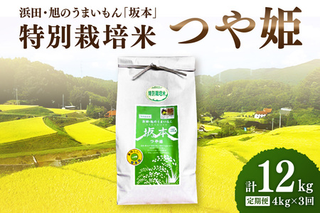 【定期便】【令和6年産】浜田・旭のうまいもん「坂本」特別栽培米つや姫 4kg×3回 米 お米 精米 白米 ごはん つや姫 特別栽培米 新生活 応援 準備 【1028】