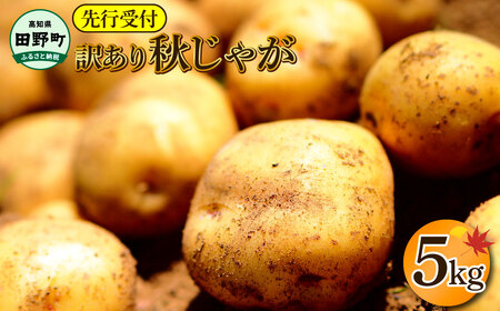 【四国一小さなまちのじゃがいも】★令和7年11月中旬発送開始★ 大野台地で採れた『 令和7年産 秋じゃが 』 5kg　～ 訳あり ～
